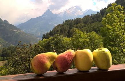 Le Seuil De Mes Reves - Foto 18