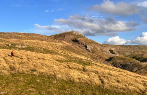 A D Coach House Cottage - Foto 29