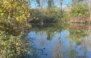 Nuova Scardua Agr Cucina Tipica - Foto 71