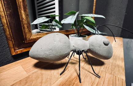 Domus Merian XII - Foto 41