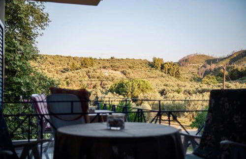 Viki Studios - Foto 22