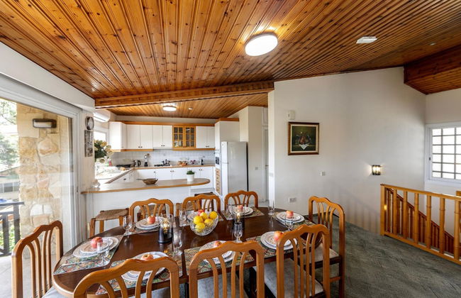 Platres Forest Panorama - Foto 21