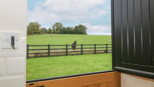 The Pheasant One - Foto 5