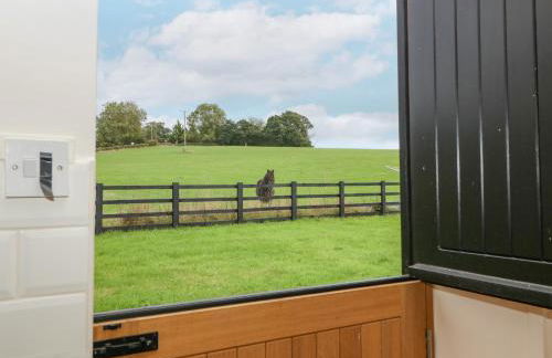 The Pheasant One - Foto 5