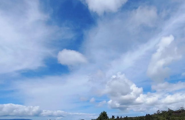 Pico Terrace - Photo 12