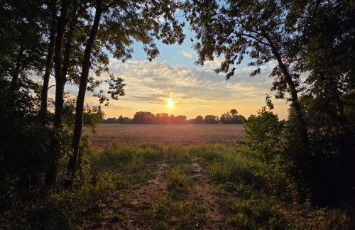 2- Zimmer-Wohnung, Nähe Phantasialand, Palmenparadies, Köln, Bonn - Foto 14