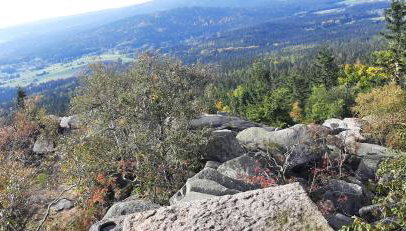 Ferienwohnung Fichtelgebirge - Foto 1