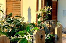 Dolci Colline - Foto 36