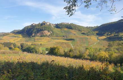 Gite des Cépages - Foto 22