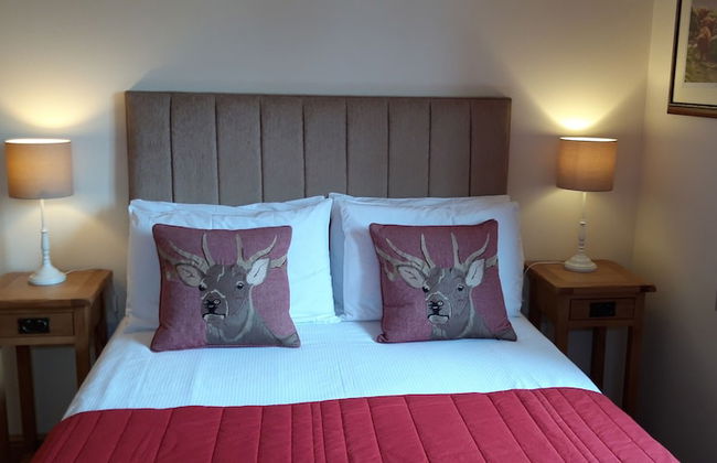 Trelawne Garden Annexe - Foto 3