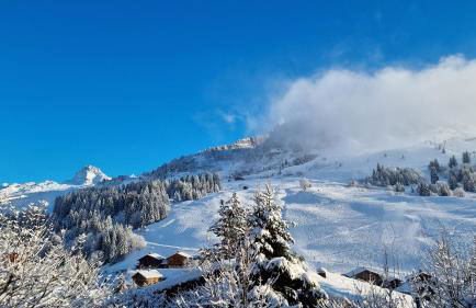 Le Samance 1 - Foto 25