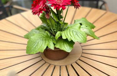 Maisonette Wohnung Sophie mit Balkon und Terrasse - Foto 18