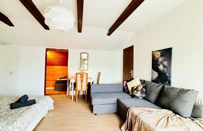 7 private Rooms in a spacious Villa - Foto 64