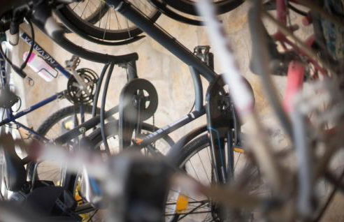 Son Roig ,Beautiful Place in the Heart of Mallorca -ETV 9979 - Foto 43