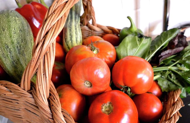 Holiday Home in Tuscany With Pool & Vineyards - Foto 16