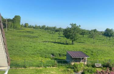 Le domaine grestain - Foto 10