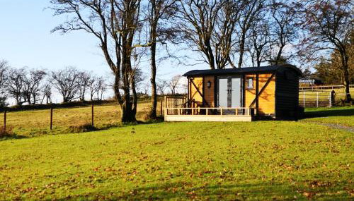 Pen-Rhos luxury glamping "Cuckoo's Nest" - Foto 2