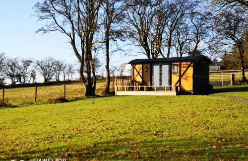 Pen-Rhos luxury glamping "Cuckoo's Nest" - Photo 2