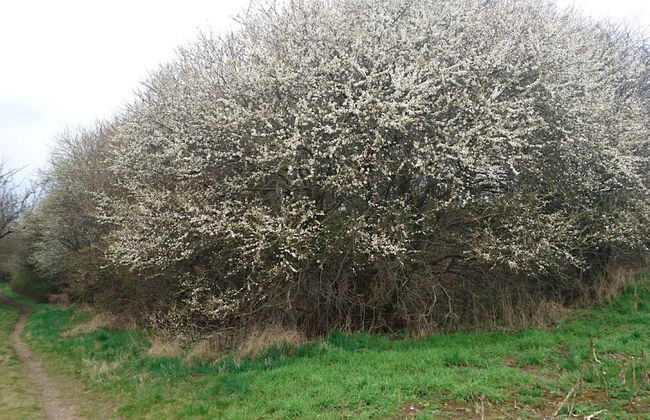 Simplistic Holiday Home in Løgstrup near Sea - Foto 14