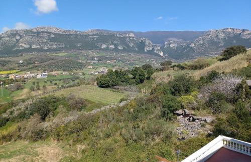 Villa Giulia - Cilento - Giungano - Foto 68