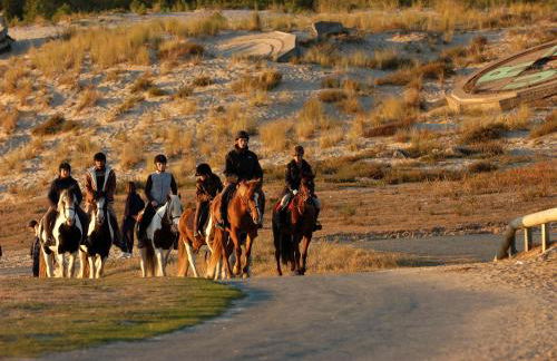 Studio Dunes aux Ecureuils - Foto 26