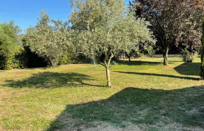 Villa in Occitania With Pool and Garden - Foto 33