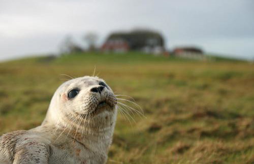 Gästehaus Neuwarft - Foto 36