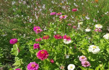 Eleni B&B - Photo 15