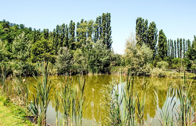 Il Cipresso - Foto 21