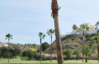 Casa Buena Vista Rojales - Photo 21