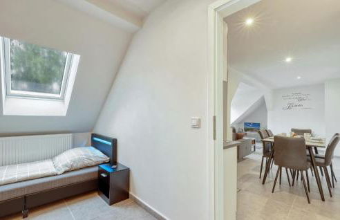 Seepferdchen - Foto 24