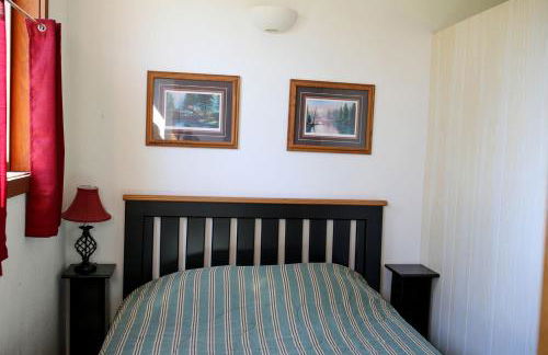 Lakefront Cabin Rental with a Paddle Boat near Wisconsin Dells, Wisconsin - Foto 9