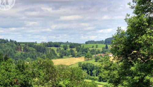 Gîte harmonieux 8 pers avec cheminée et animaux admis - FR-1-496-32 - Foto 4