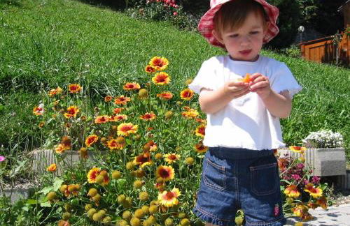 Nature Residence Telfnerhof - Photo 32