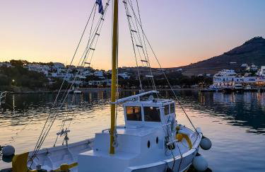 Amphitrite's Haven - Cycladic House in Marpissa, Paros - Photo 32