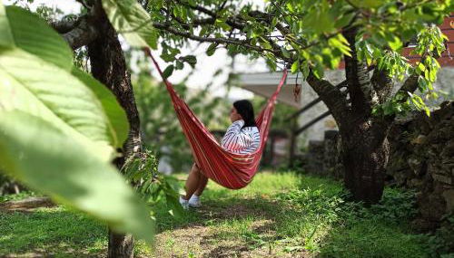 La terra dei ciliegi tra l'Etna e il mare di Taormina - Foto 5, Garden