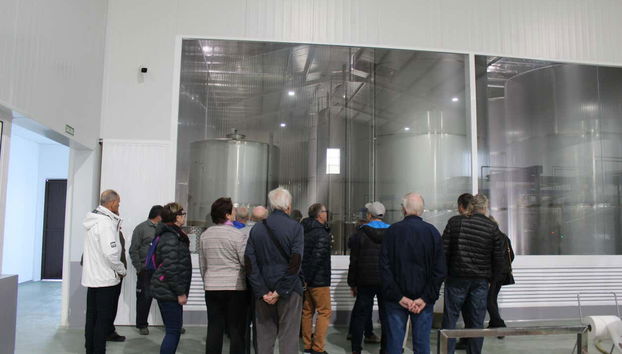 Visita a la fábrica y museo de Aceites Molisur con cata - Foto 5, Visitando la fábrica de Aceites Molisur