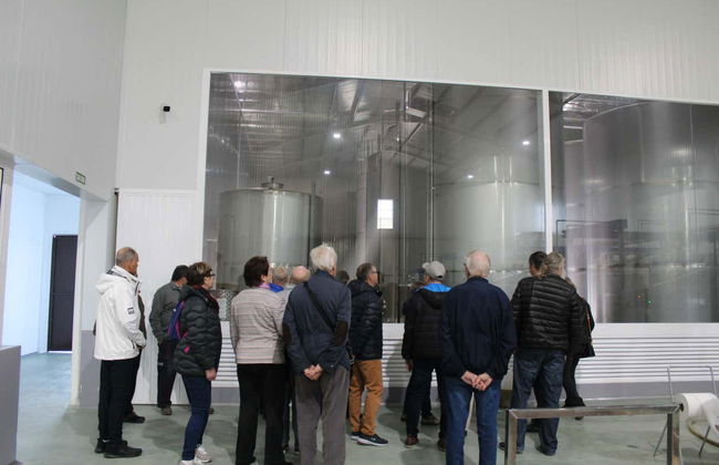 Visita a la fábrica y museo de Aceites Molisur con cata - Foto 5