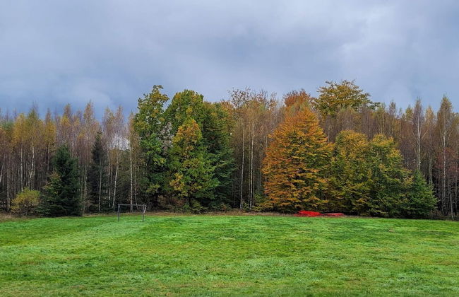 Charming Lakeside Cottage Getaway - Photo 19