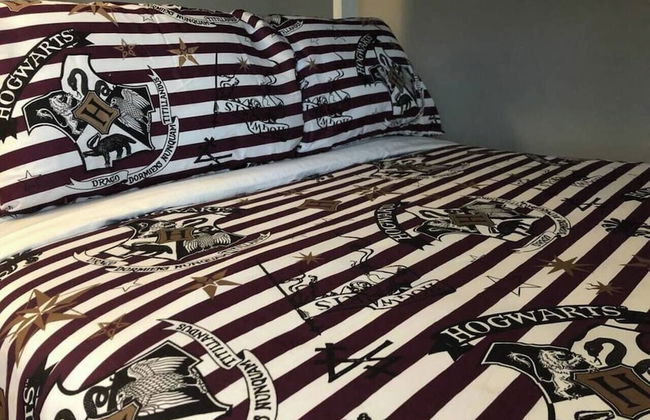 6149 Sandcrest · Next TO Universal. 8 Beds. Pool. Very Clean - Photo 14