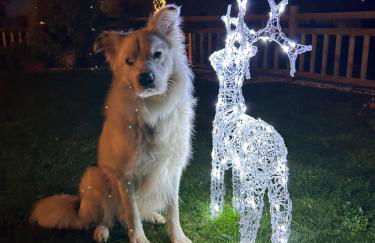 La Salina - Complejo Turistico Rural CaleaCabo - Photo 40