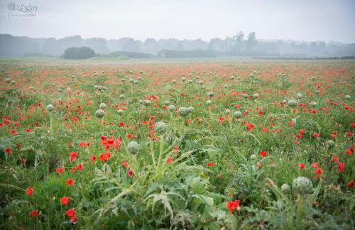 Cap sur le Guillec - Foto 8