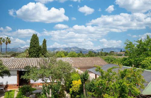 Moli dels Reis - Foto 32