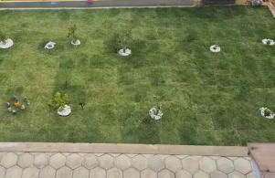 Barra do Cunhaú - Barra Mar - Foto 9