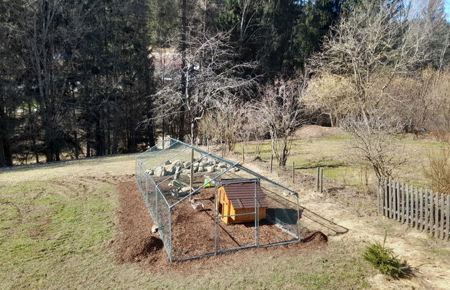 Chalet Toni mit Sauna - Foto 13