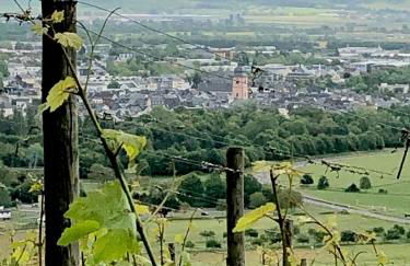 Ferienhaus Plan B. Wittlich - Foto 33