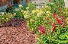 Apartment 2 in Altstadt Angermünde - Foto 26