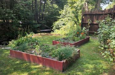 Magnolia Streamside Resort - Foto 43