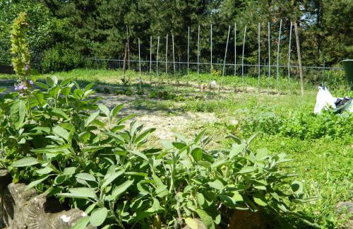 Casa Badinot - Foto 41