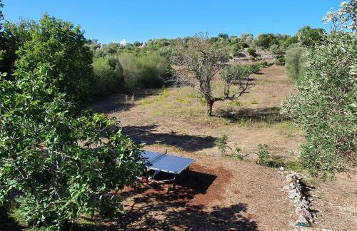 Trullo turchese Fabiola - Foto 21